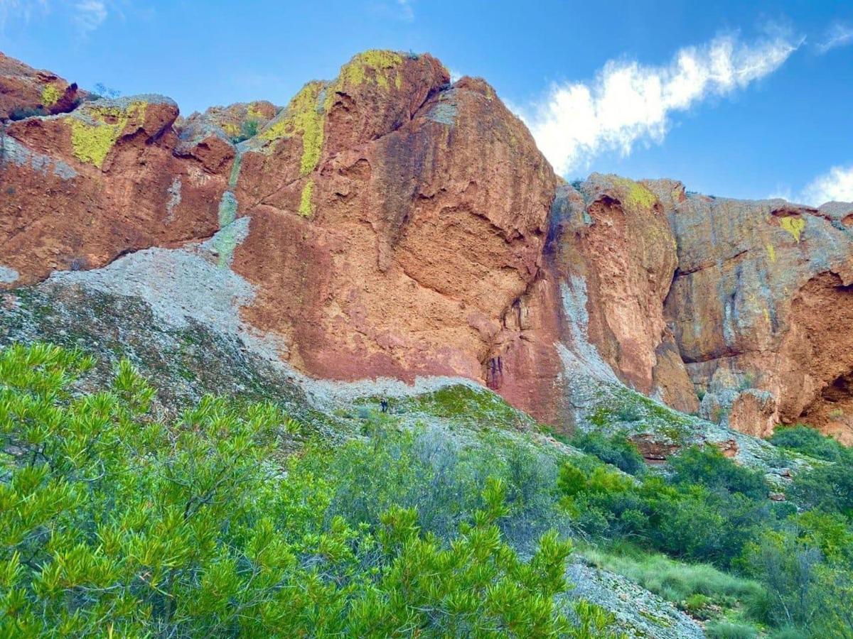 BuffelskloofRed Mountain Ridge Karoo Oasis And Guest Farmアパートメント エクステリア 写真